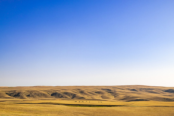 Shelby, Montana (2018)